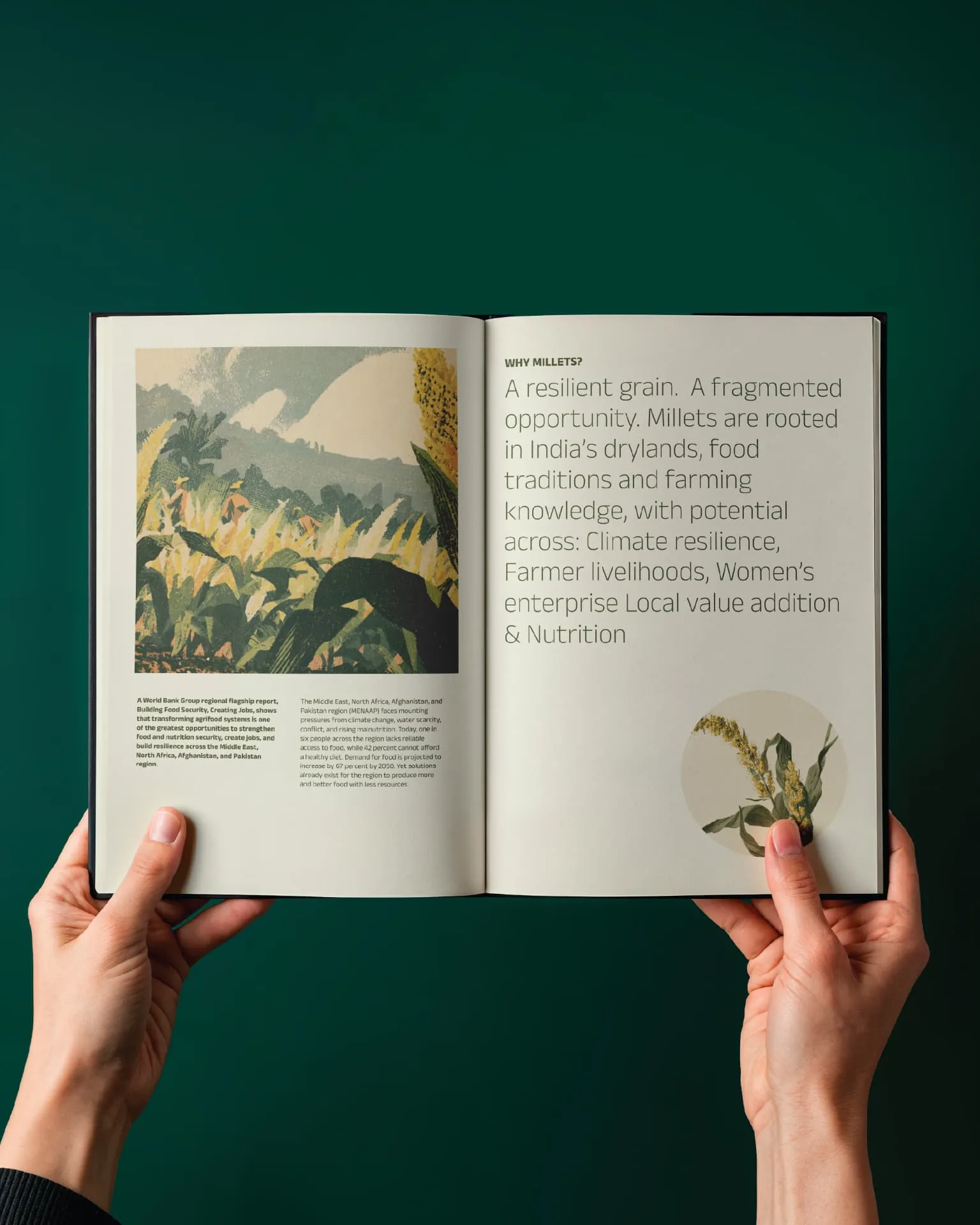 Visv Foundation brochure spread — open book showing an illustrated agricultural landscape under the header “Why millets?”