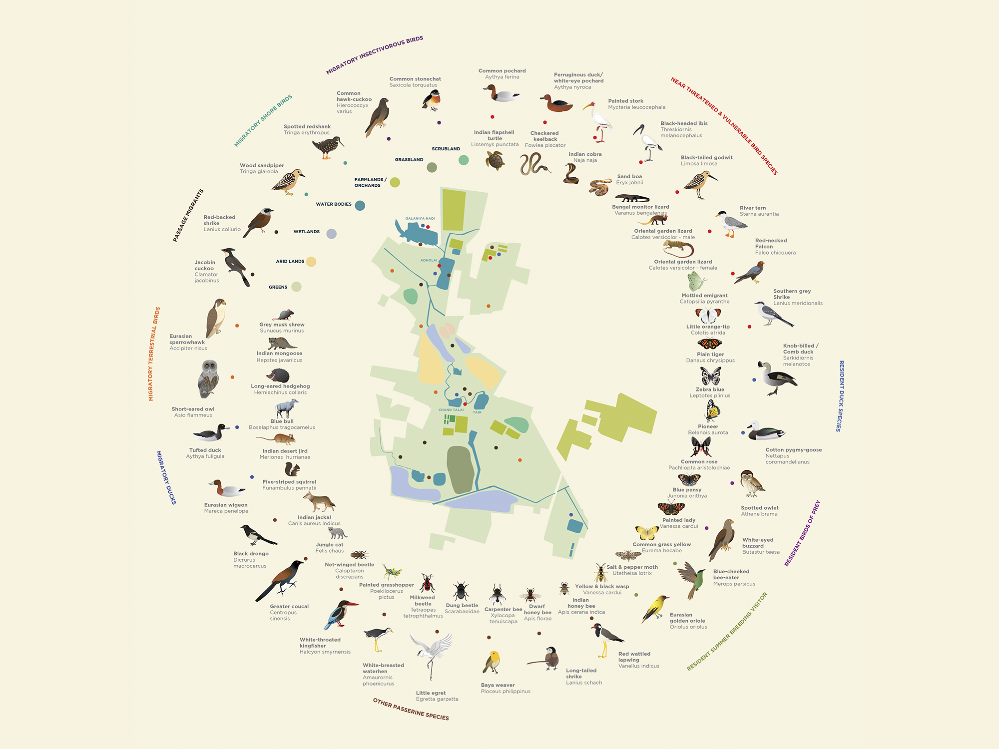 DHUN - Placebranding for a regenerative development near Jaipur.