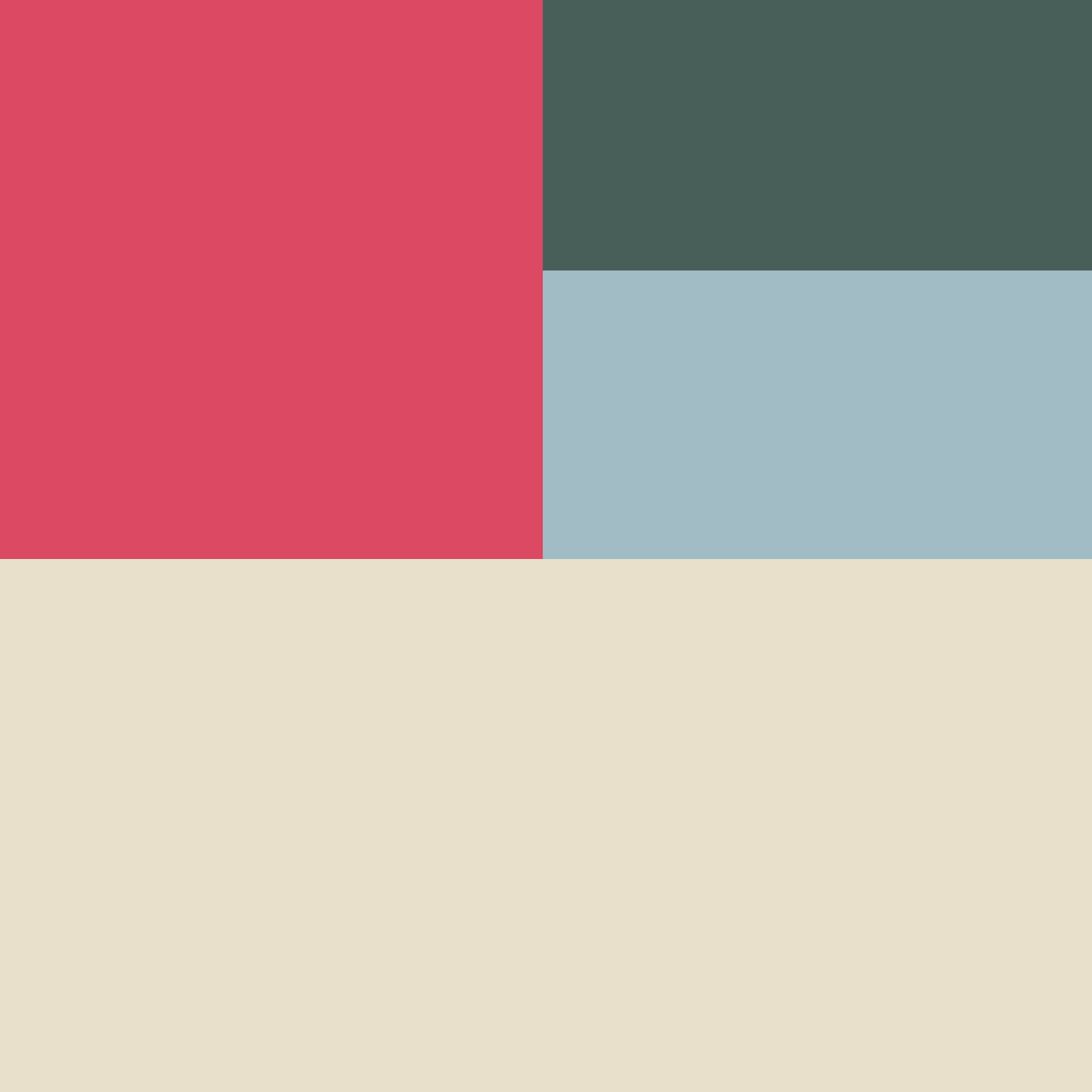 India Jones - Brand color palette and design elements inspired by Indian heritage