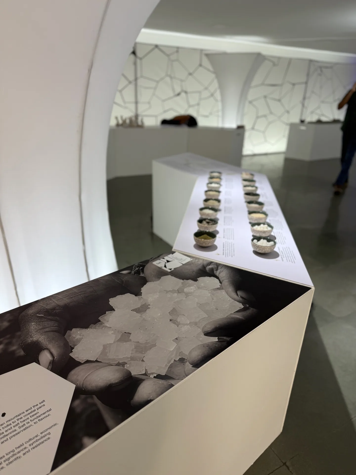 Salt at Serendipity Arts Festival 12